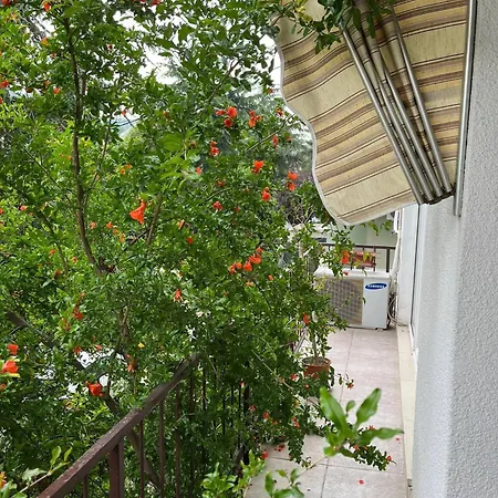 Apartment Kami Elite *